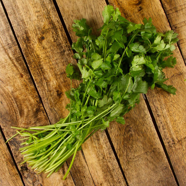 Cilantro - (manojo)
